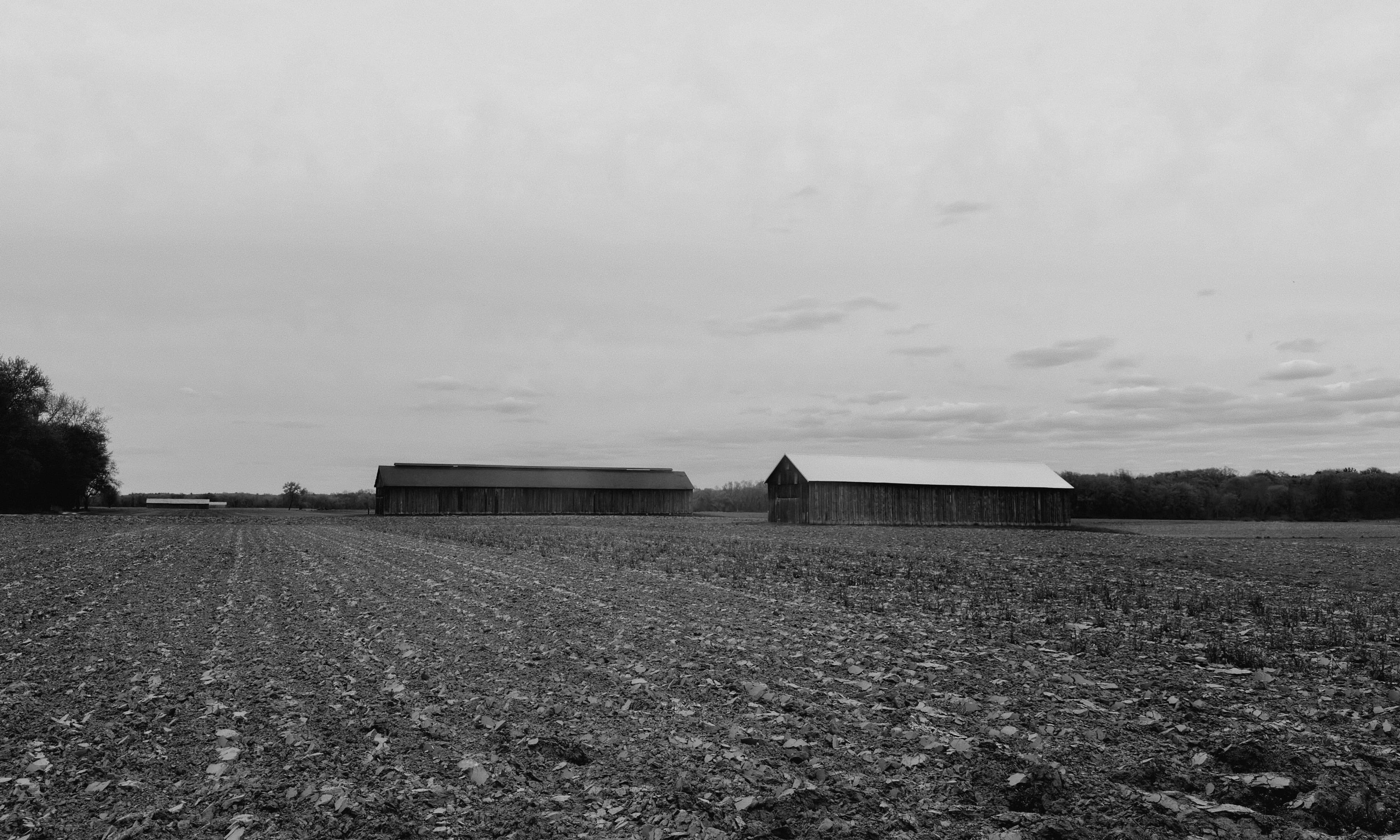 Open Connecticut field at the Liberty Ridge distillery