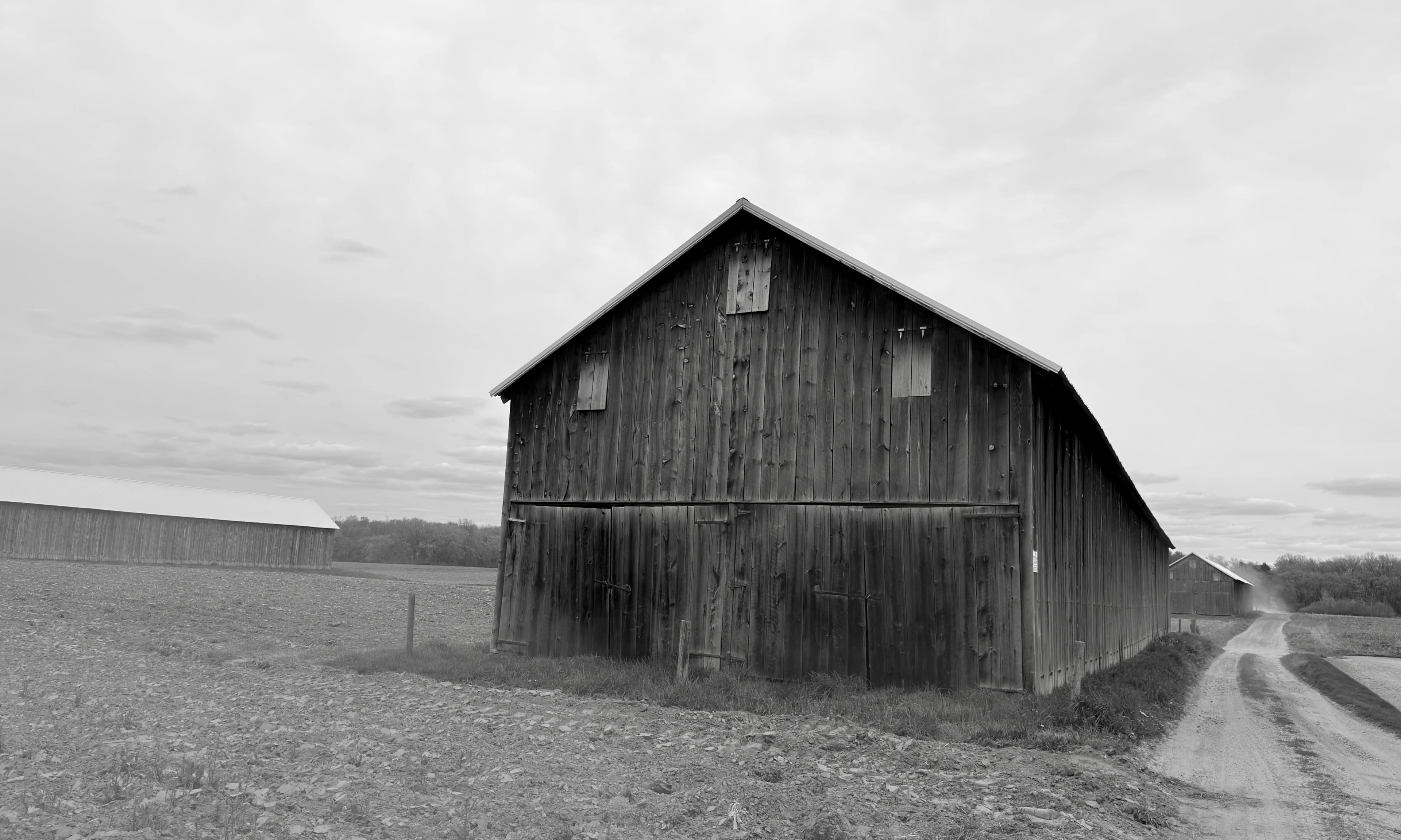 Tobacco barn at the edge of a Connecticut field